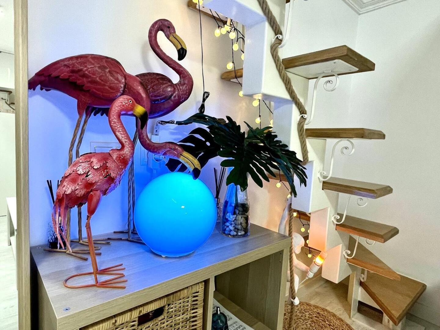 Los Flamencos, Malasana Loft Madrid 45Mq エクステリア 写真