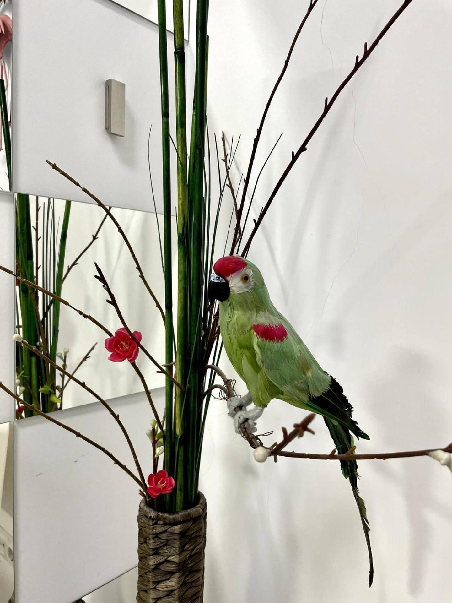 Los Flamencos, Malasana Loft Madrid 45Mq エクステリア 写真